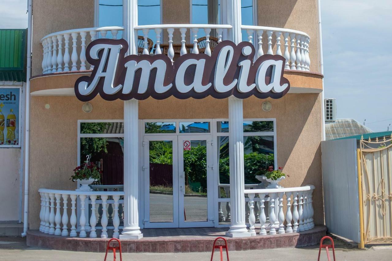 Amalia Hotel Zaliznyy Port Exterior foto